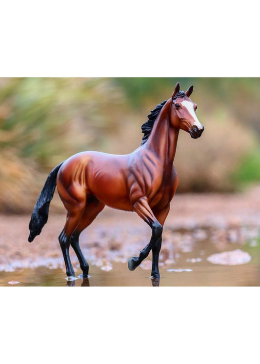 Breyer Tiz The Law