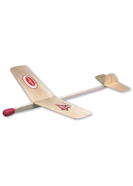  Goldwing - Balsa Glider